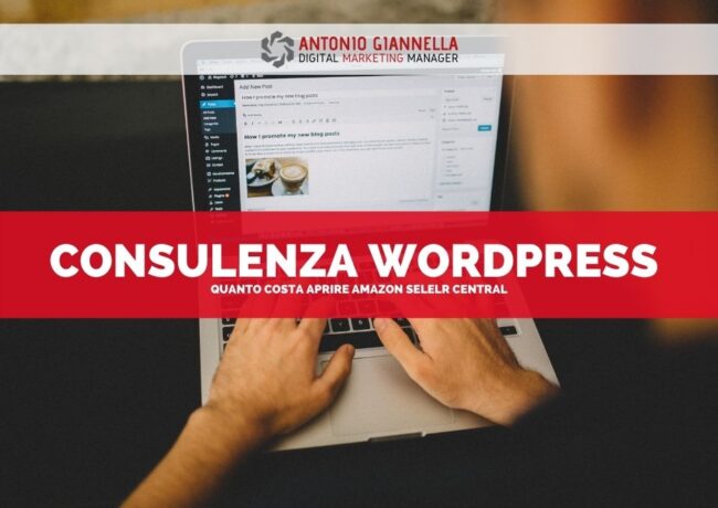 consulenza wordpress