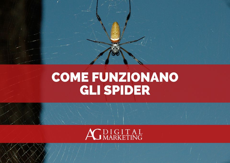 come funzionano gli spider dei motori di ricerca