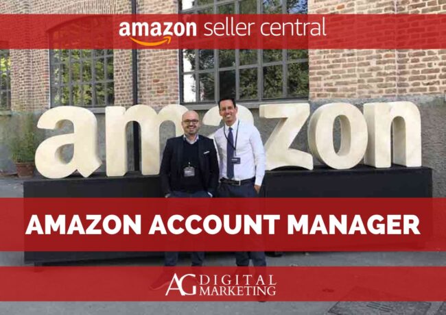 Amazon Account Manager: cosa fa, quando serve e come sceglierlo (Guida 2025)